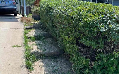 Photo of Eric N.'s yard after getting landscaping in Shawnee, CO