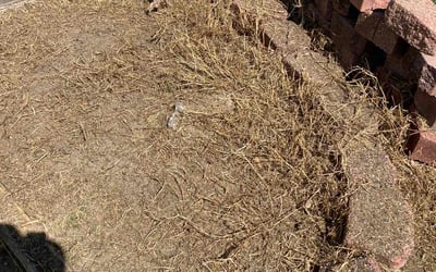 Photo of Charles T.'s yard after getting landscaping in Foster, VA