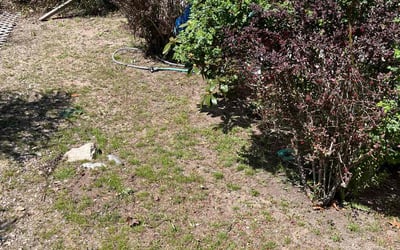 Photo of Deborah A.'s yard after getting landscaping in South Weymouth, MA