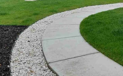 Photo of Anne S.'s yard after getting tree care in Brighton, CO