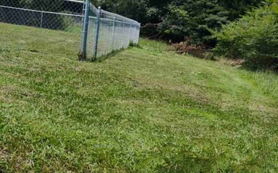 Photo of John C.'s yard after getting tree care in Chattanooga, TN