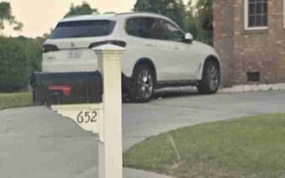 Photo of James A.'s yard after getting landscaping in Wilmington, NC