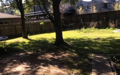 Photo of John S.'s yard after getting landscaping in Danbury, TX