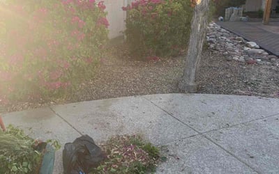 Photo of Linda G.'s yard after getting landscaping in Higley, AZ