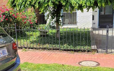 Photo of Caroline W.'s yard after getting landscaping in Reva, VA