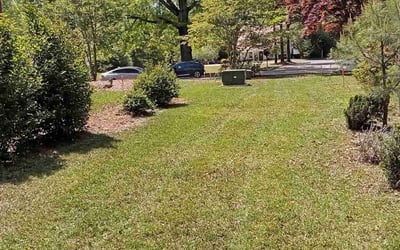 Photo of Nate W.'s yard after getting landscaping in Holly Springs, NC