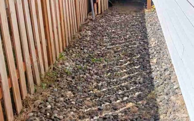 Photo of Angel G.'s yard after getting tree care in Forest Grove, OR