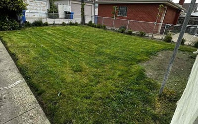 Photo of Kim D.'s yard after getting landscaping in Mokena, IL