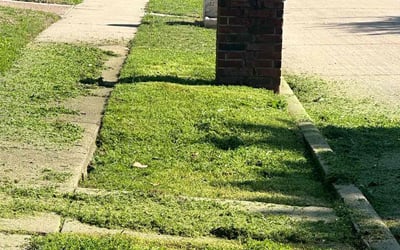 Photo of James A.'s yard after getting landscaping in Nevada, TX