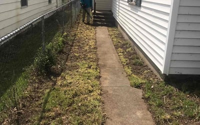 Photo of Timothy B.'s yard after getting landscaping in Grand Prairie, TX