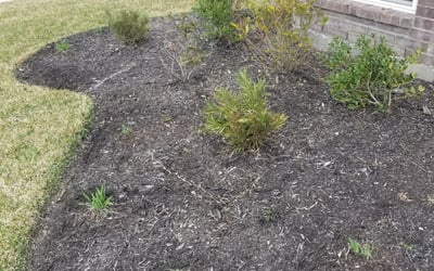 Photo of Austin F.'s yard after getting landscaping in Orchard, TX