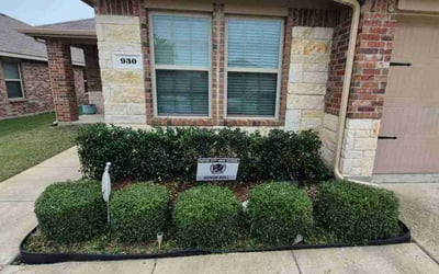 Photo of Jacqwan G.'s yard after getting tree care in Dallas, TX