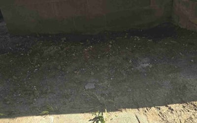 Photo of Elizabeth S.'s yard after getting landscaping in Alexandria, OH