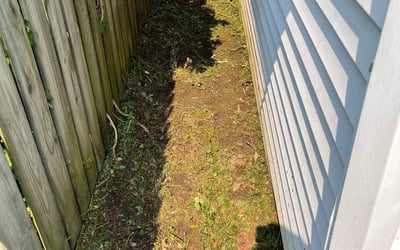 Photo of Christina E.'s yard after getting landscaping in Falmouth, KY