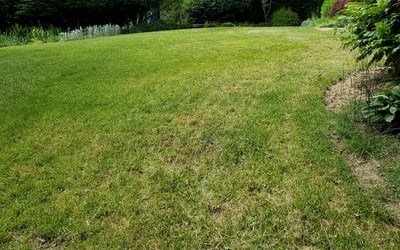Photo of Mark H.'s yard after getting landscaping in Hendersonville, NC