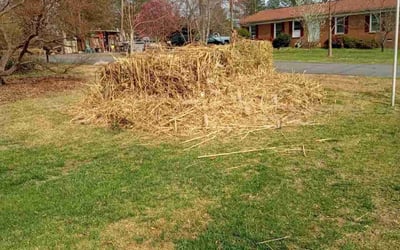 Photo of Tracey A.'s yard after getting tree care in Gastonia, NC