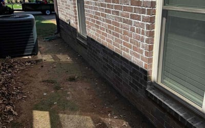 Photo of Stephanie B.'s yard after getting landscaping in Covington, TN