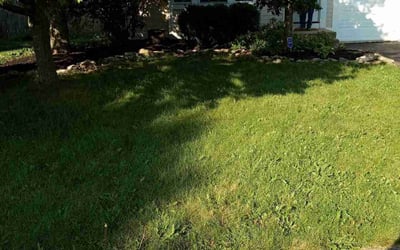 Photo of Kathleen W.'s yard after getting landscaping in Saint Louisville, OH