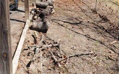Photo of Becky M.'s yard after getting landscaping in Chester, VA