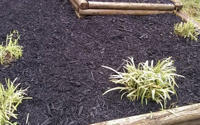 Photo of Michelle F.'s yard after getting landscaping in Tonganoxie, KS
