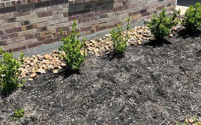 Photo of Steven H.'s yard after getting landscaping in New Caney, TX