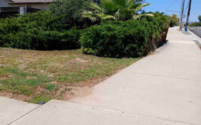 Photo of Sean C.'s yard after getting landscaping in Escondido, CA