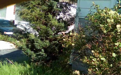 Photo of Michael C.'s yard after getting landscaping in Birdsboro, PA