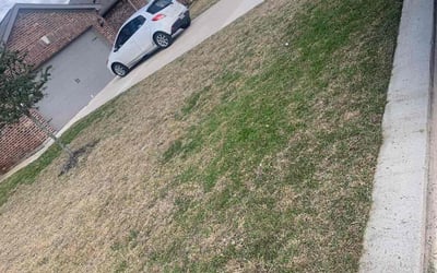 Photo of Jessica T.'s yard after getting landscaping in Hull, TX
