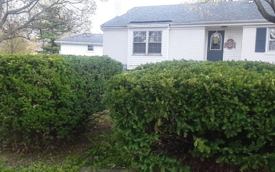 Photo of Dawn W.'s yard after getting landscaping in Raymond, OH