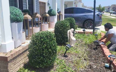 Photo of Rhonda T.'s yard after getting tree care in Carrollton, VA