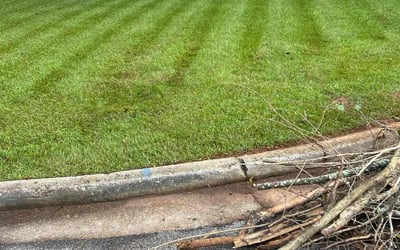 Photo of Ashley W.'s yard after getting landscaping in Marble Hill, GA