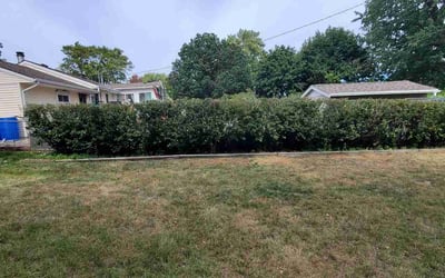 Photo of Scott D.'s yard after getting landscaping in Hamel, MN