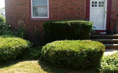 Photo of Carole W.'s yard after getting landscaping in Burton, OH
