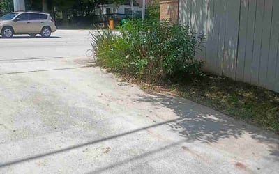 Photo of Sheri B.'s yard after getting tree care in Woodstock, GA