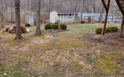 Photo of Julia W.'s yard after getting landscaping in Harveysburg, OH