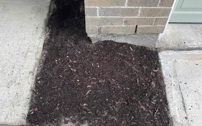 Photo of Chris C.'s yard after getting landscaping in Spring, TX