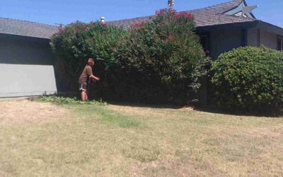 Photo of Sean M.'s yard after getting landscaping in Colfax, CA