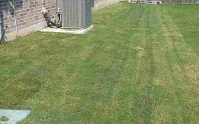 Photo of Jennifer P.'s yard after getting landscaping in Seguin, TX