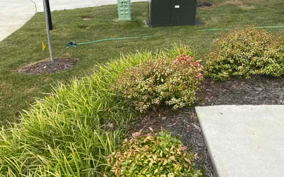 Photo of Pamela H.'s yard after getting landscaping in Grandy, NC