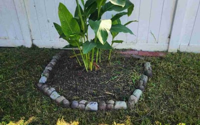 Photo of Sylvia D.'s yard after getting landscaping in Isle Of Wight, VA