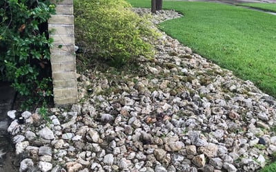 Photo of David P.'s yard after getting landscaping in Orchard, TX