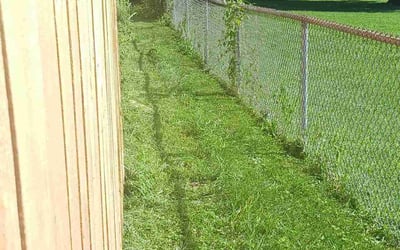 Photo of Sabra W.'s yard after getting landscaping in Haydenville, OH