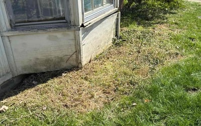 Photo of Eleni K.'s yard after getting landscaping in Niles, OH