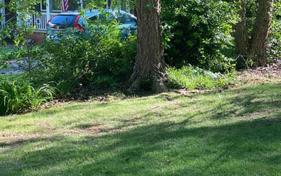 Photo of Martha C.'s yard after getting landscaping in Brooks, GA