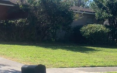 Photo of Gage R.'s yard after getting landscaping in Ozona, FL