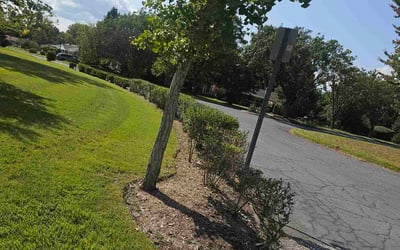 Photo of Stephen C.'s yard after getting lawn care in Annapolis, MD