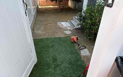 Photo of Monique A.'s yard after getting tree care in San Jose, CA