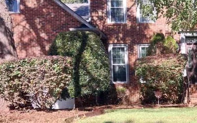 Photo of Keno C.'s yard after getting tree care in Harrisburg, NC