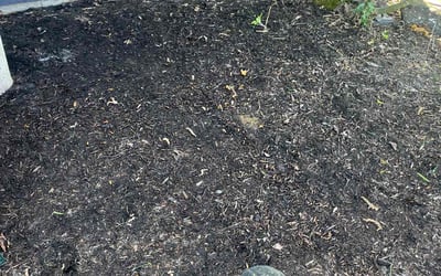 Photo of Matthew C.'s yard after getting landscaping in Poulsbo, WA