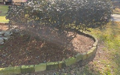 Photo of Angelica R.'s yard after getting landscaping in Rye, TX